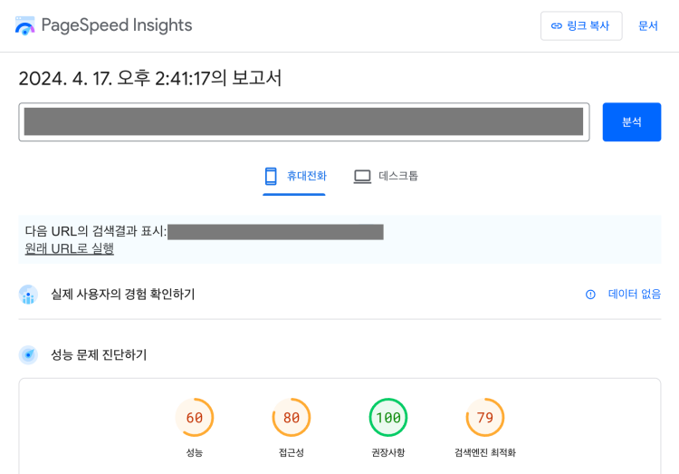 PageSpeed Insights 속도 측정
